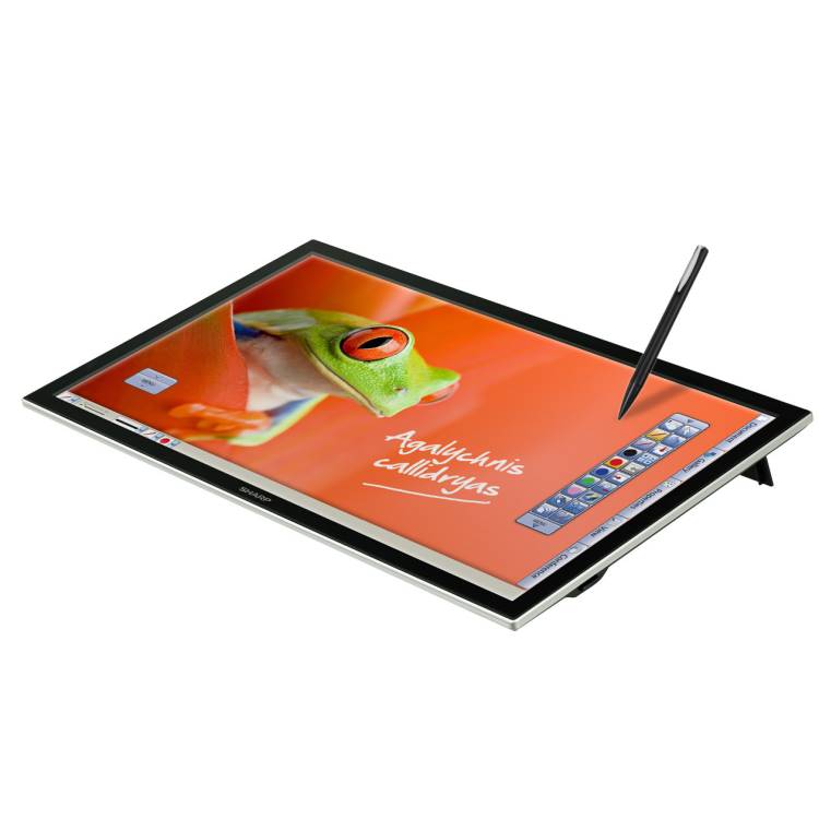 Hitachi 20-inch Multi-touch Panel