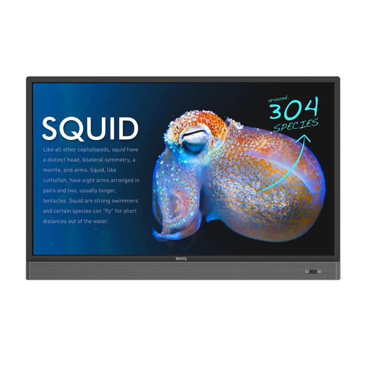 BenQ RP553K 55” 4K Interactive Flat Panel Display