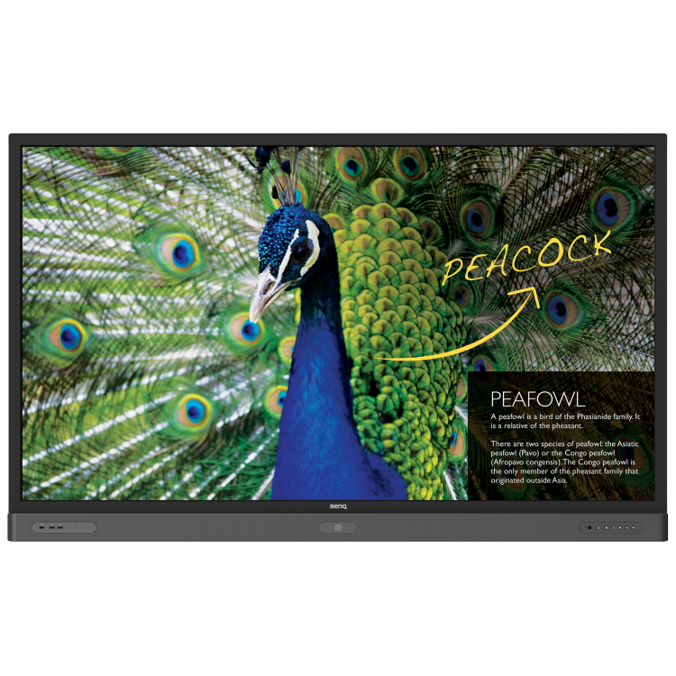 BenQ RP750K 75” 4K Interactive Flat Panel Display